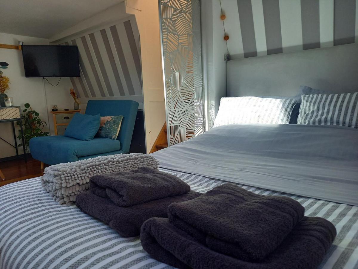 Appartement Atypique Independant Sur Peniche Metz Exteriör bild